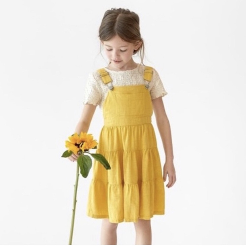 Zara Overall Dress